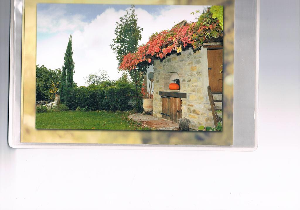 B&B San Nicola Serramazzoni Luaran gambar