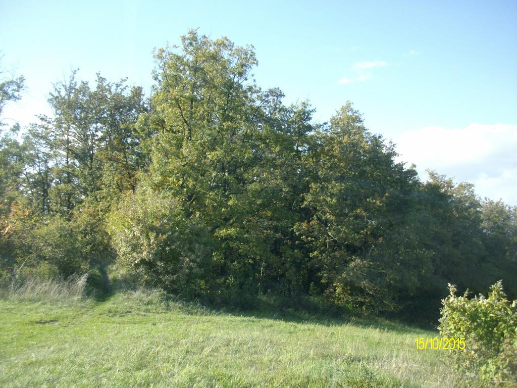 B&B San Nicola Serramazzoni Luaran gambar