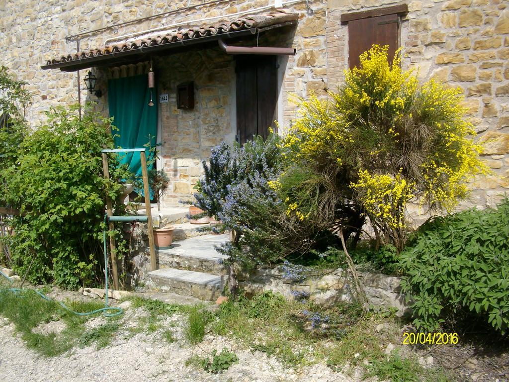 B&B San Nicola Serramazzoni Luaran gambar