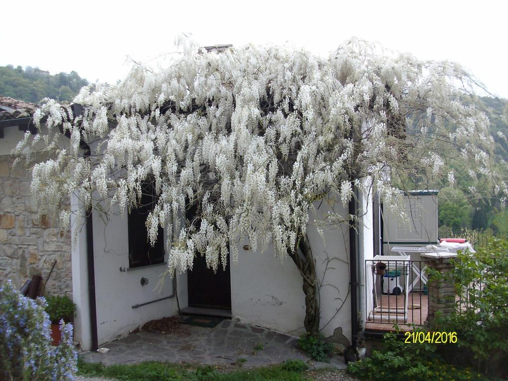 B&B San Nicola Serramazzoni Luaran gambar